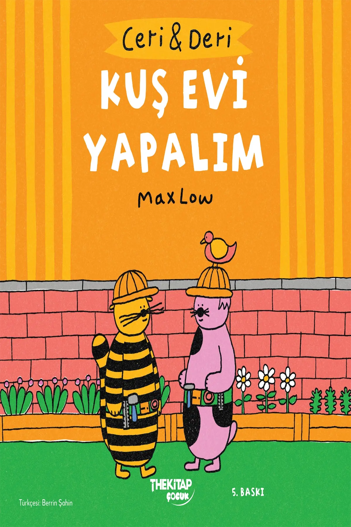 Ceri ve Deri: Kuş Evi Yapalım