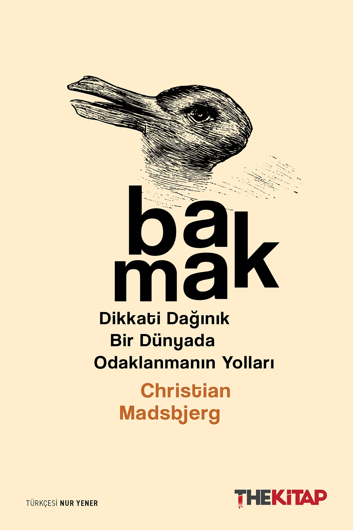 Bakmak